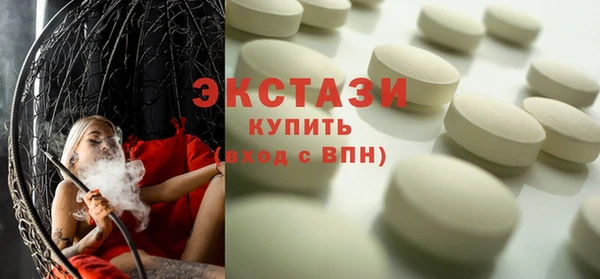 прущие грибы Новозыбков