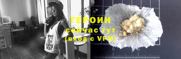прущие грибы Новозыбков