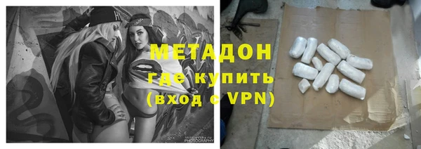 прущие грибы Новозыбков