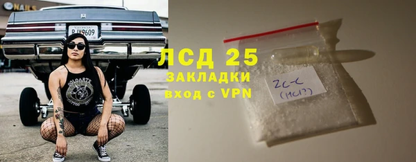 прущие грибы Новозыбков