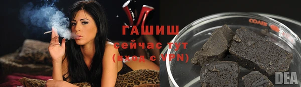 прущие грибы Новозыбков