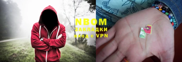 прущие грибы Новозыбков