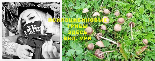 прущие крисы Новодвинск