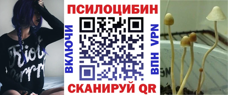 Галлюциногенные грибы Psilocybine cubensis  Подпорожье 